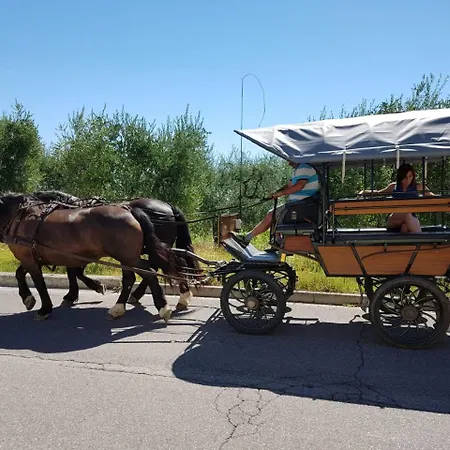 Lamasu Rioverde - Di Garda Resort San Felice del Benaco